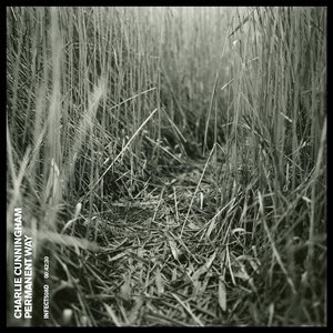 男男骚po舔逼jbgay
