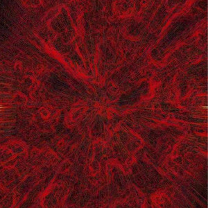 男男骚po舔逼jbgay
